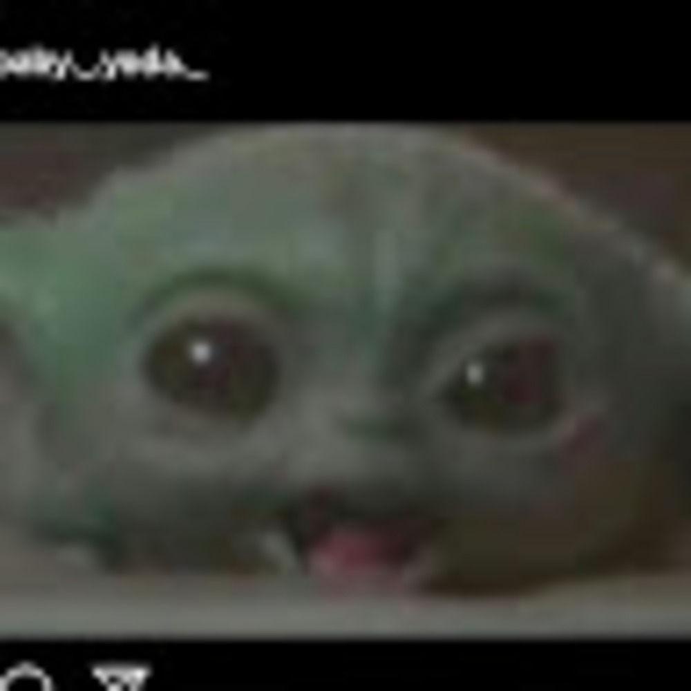 Meet your Posher, Sofia